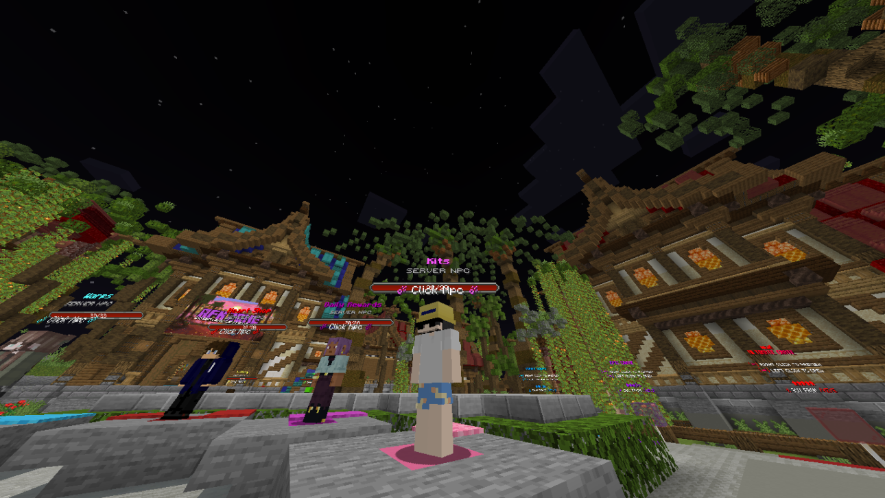 Server Screenshot 2
