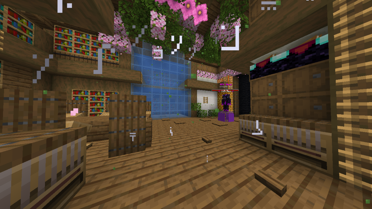 Server Screenshot 5
